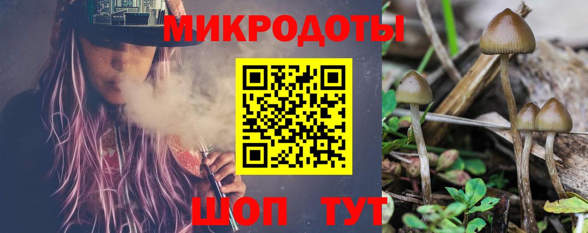 Галлюциногенные грибы MAGIC MUSHROOMS  Вход с VPN  Жуковский 